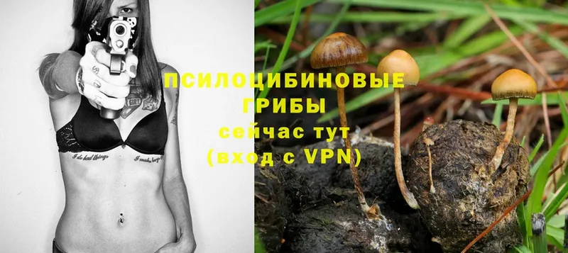 Галлюциногенные грибы Magic Shrooms  это Telegram  Нариманов 