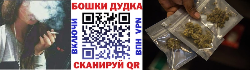 где купить   Нариманов  Каннабис сатива 